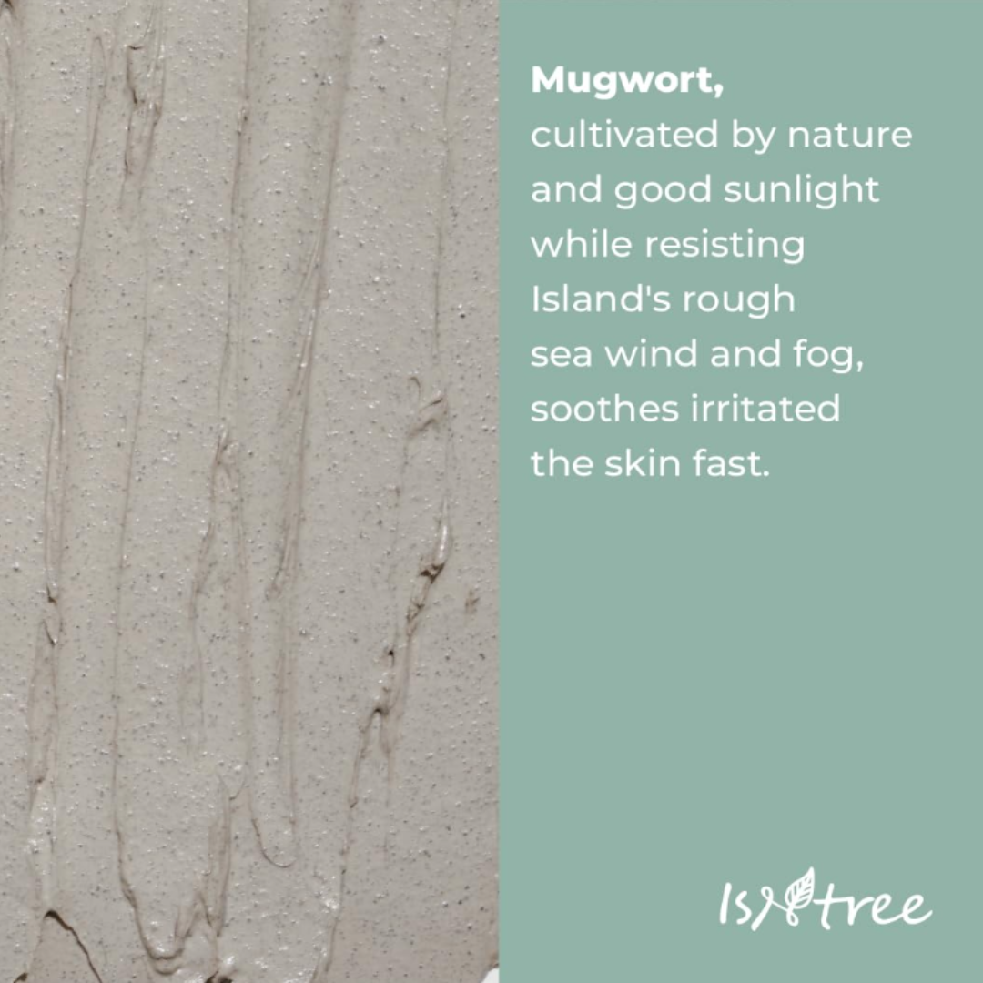 Isntree Mugwort Calming Clay Mask 100ml, 3.38 fl.oz