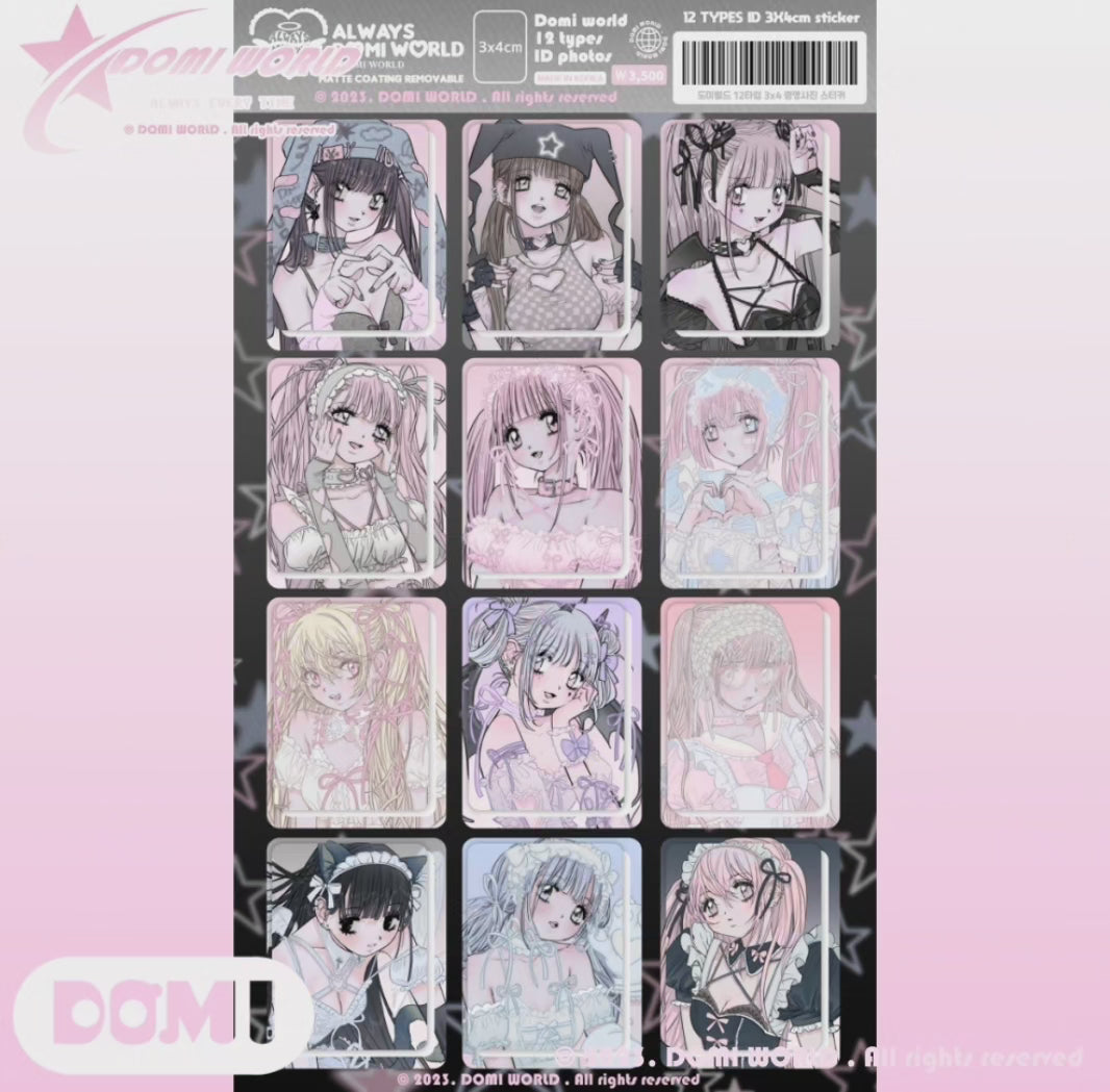 Domi 12 Types ID Photos Sticker